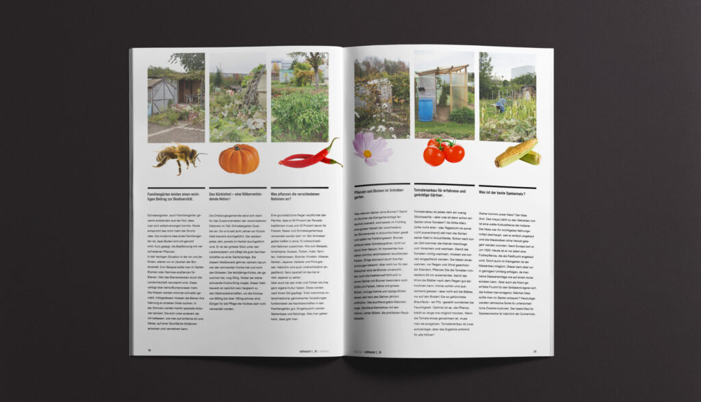 magazin-mittwoch-konzept-und-gestaltung8 Magazin «Mittwoch» Konzept und Gestaltung Doppelseite Innen